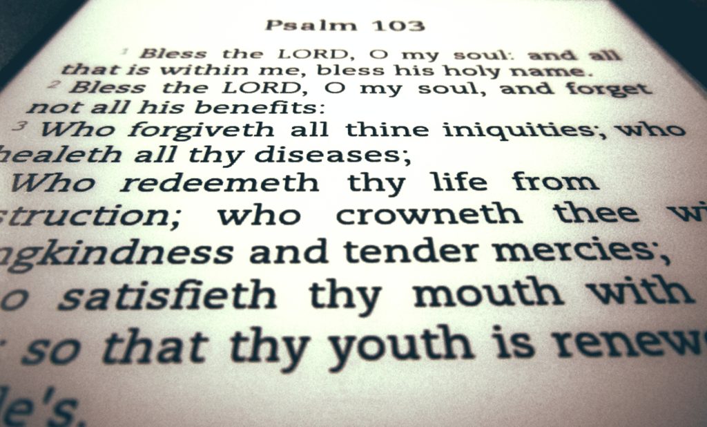 Bless the Lord – by Holly Carr