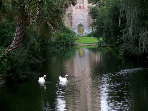 Grace Precedes Peace