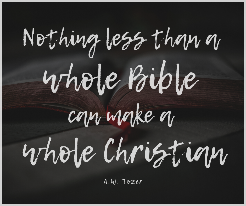 Nothing Less Than A Whole Bible…