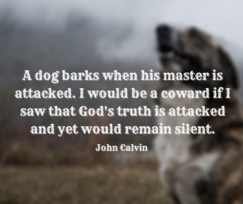 A Dog Barks…