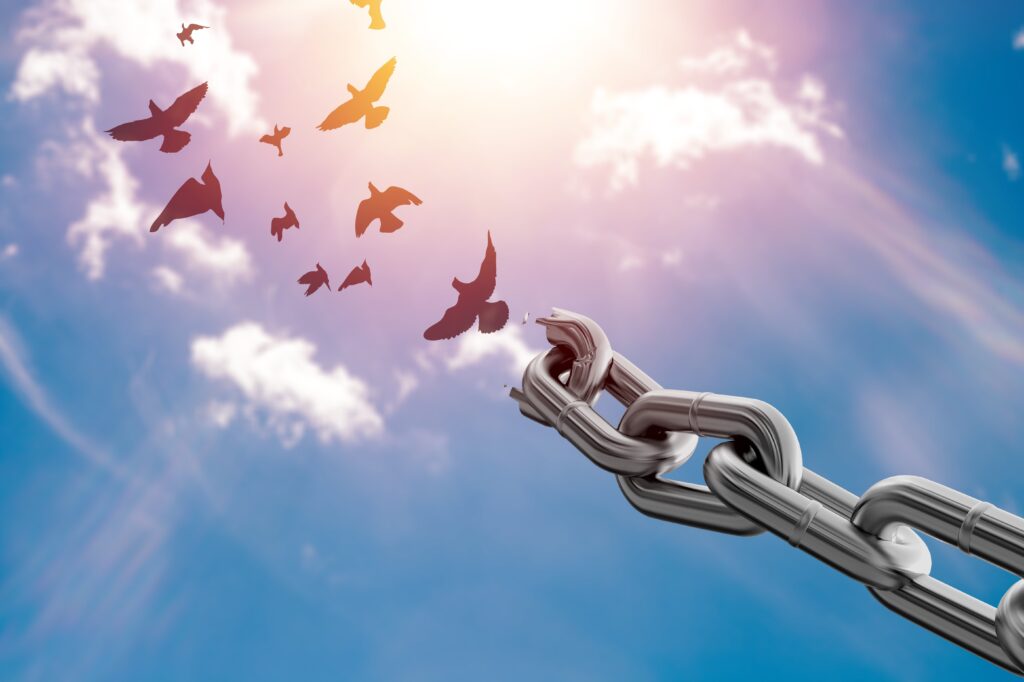 Turning Wounds into Blessings: Lessons from Joseph’s Journey to Forgiveness