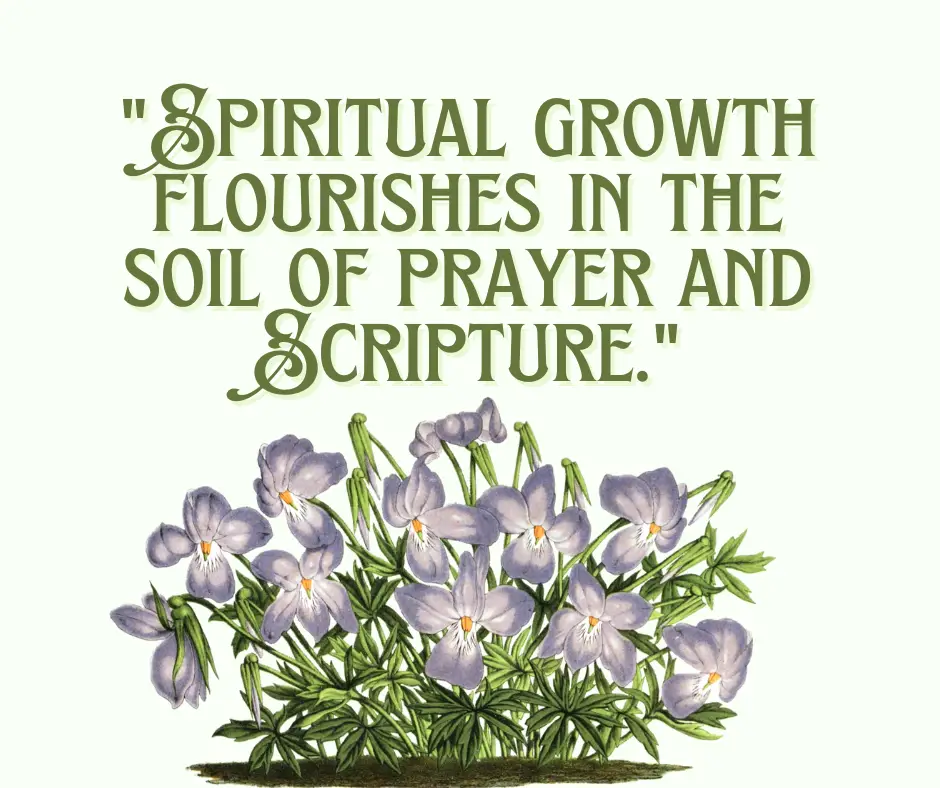 Spiritual Growth: Flourishing in the Soil of Prayer and Scripture