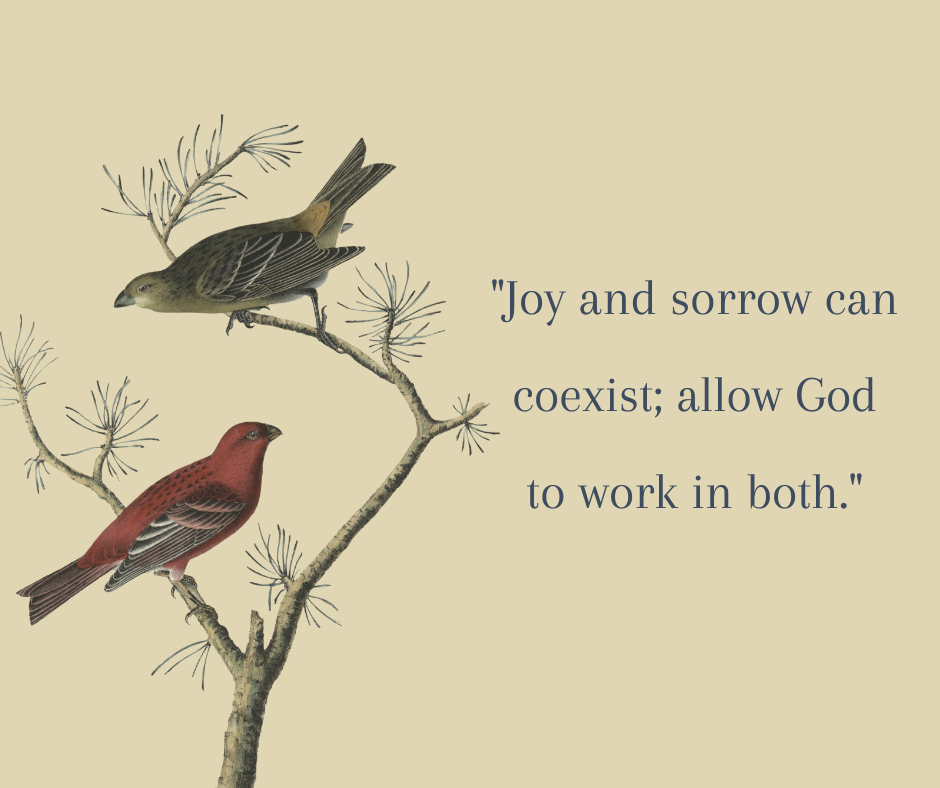 Joy and Sorrow Can Coexist; Allow God to Work in Both