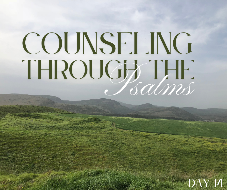 Mocked but Not Forgotten: God’s Refuge in Psalm 14