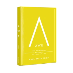 Book Review: Awe