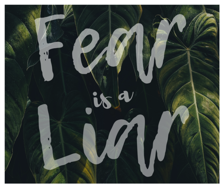 Fear Is A…