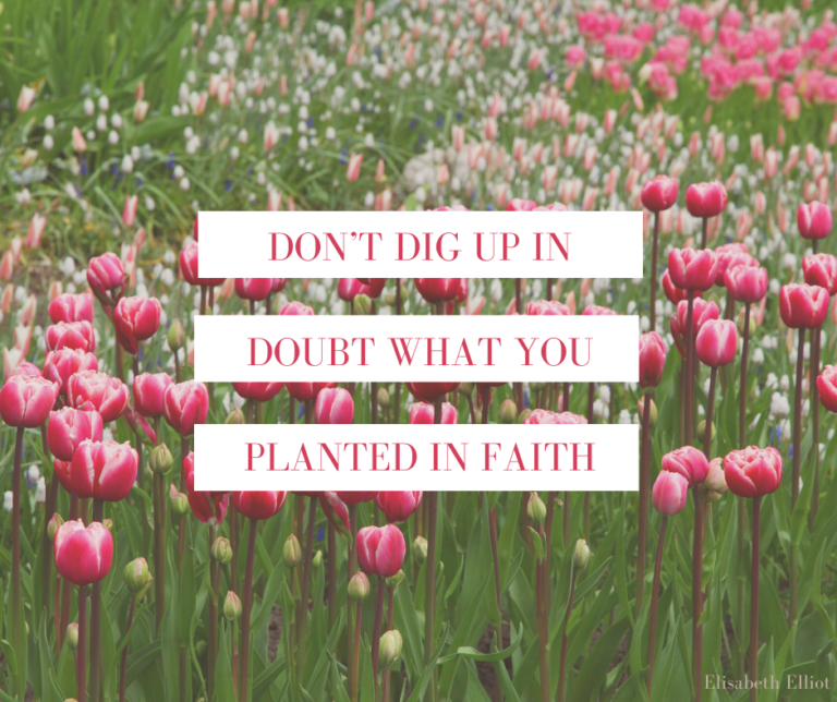 Don’t Dig Up…