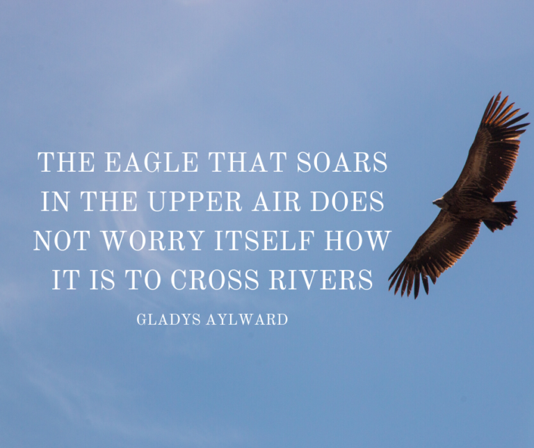 The Eagle That Soars…