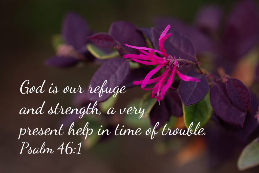 A Setback, But Still Trusting