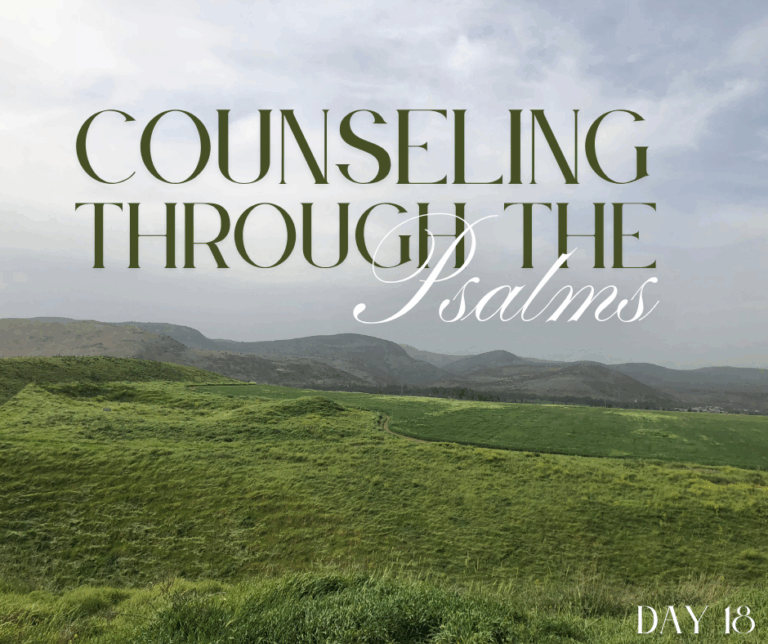 Secure In The Storm God Our Unshakable Rock Psalm 18