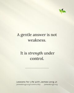 a gentle answer is strength under control