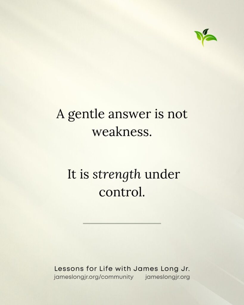 a gentle answer is strength under control