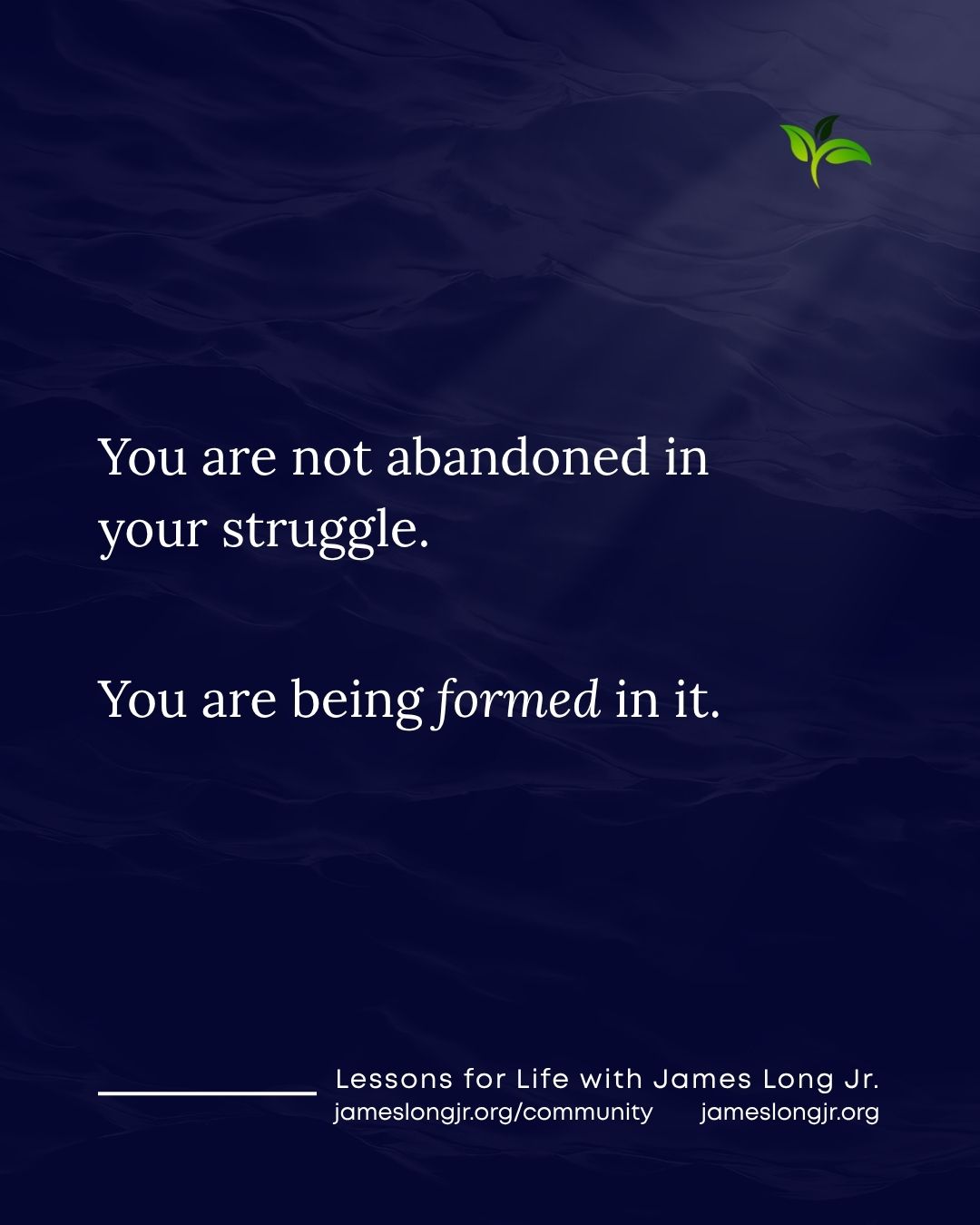 You Are Not Abandoned in Your Struggle
