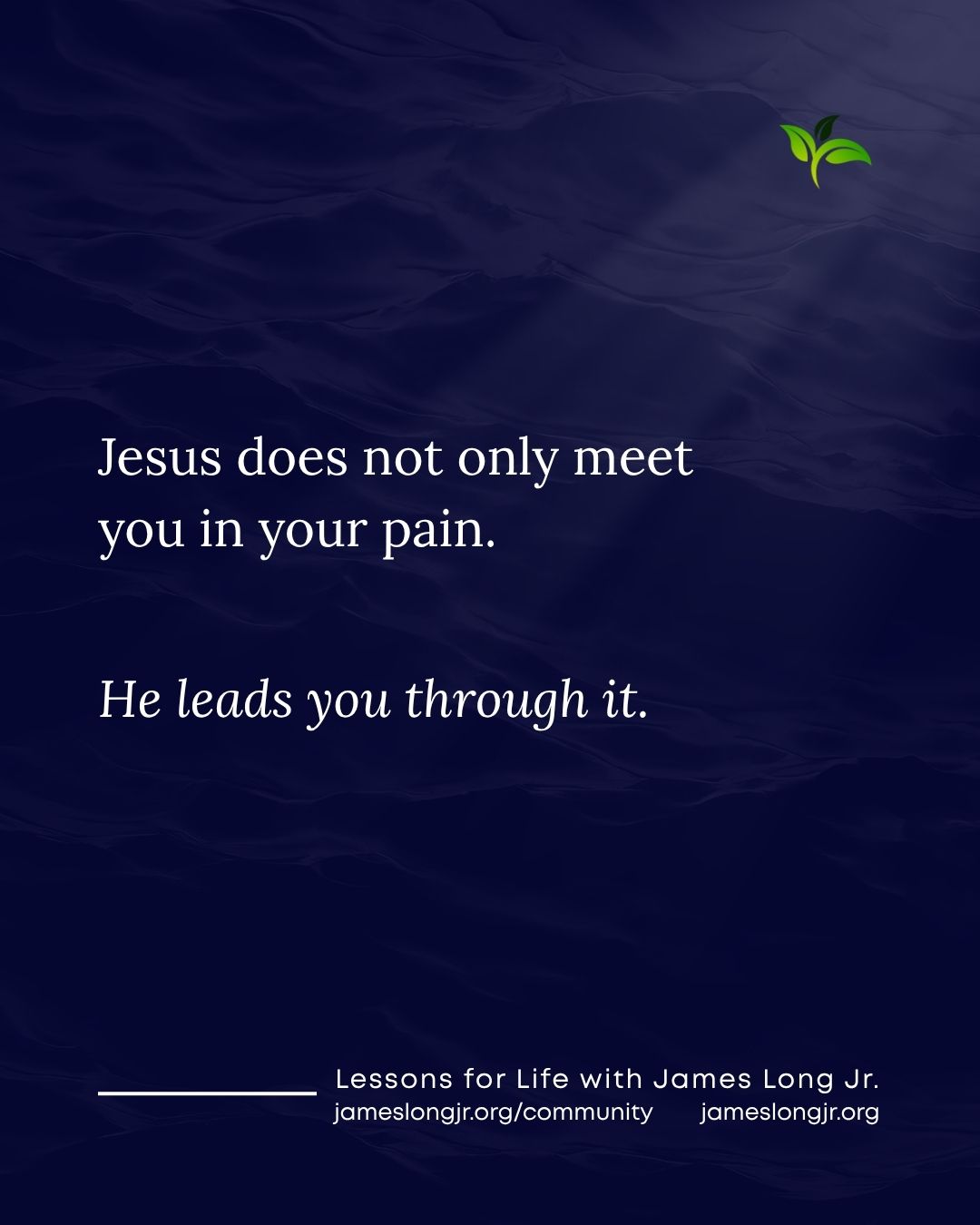 Jesus Meets You in Your Pain: How Christ Leads You Through Suffering